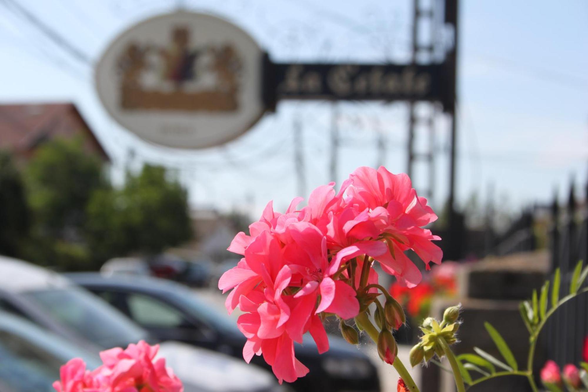 Hotel Lacetate Πιτέστι Εξωτερικό φωτογραφία